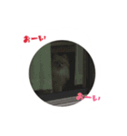 マロンの毎日（個別スタンプ：24）