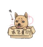 Taiwan Dogs（個別スタンプ：4）