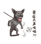 Taiwan Dogs（個別スタンプ：24）