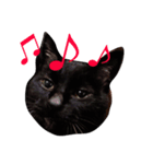 黒猫気分 2（個別スタンプ：2）