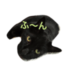 黒猫気分 2（個別スタンプ：3）