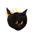 黒猫気分 2（個別スタンプ：4）