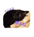 黒猫気分 2（個別スタンプ：7）