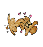 A family dog, AMU（個別スタンプ：5）