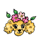 A family dog, AMU（個別スタンプ：8）