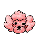 A family dog, AMU（個別スタンプ：12）