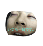 ヤーマンおやすみスタンプ（個別スタンプ：13）