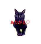 黒猫気分（個別スタンプ：1）