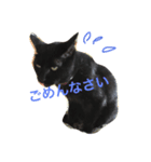 黒猫気分（個別スタンプ：3）