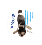 モル（個別スタンプ：2）