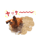 メタボ犬  シーズン2（個別スタンプ：6）
