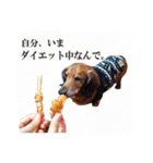 メタボ犬  シーズン2（個別スタンプ：9）