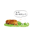 メタボ犬  シーズン2（個別スタンプ：12）