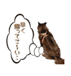 おださんちのちょこちゃん（個別スタンプ：10）