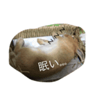空と愉快な仲間達（個別スタンプ：2）