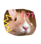 空と愉快な仲間達（個別スタンプ：4）