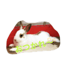 空と愉快な仲間達（個別スタンプ：6）