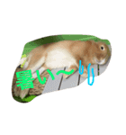 空と愉快な仲間達（個別スタンプ：13）