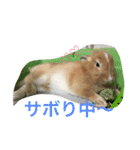 空と愉快な仲間達（個別スタンプ：16）