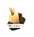 うちの子エルモ vol.00（個別スタンプ：2）