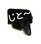 真っ黒ゆずちゃん（個別スタンプ：3）