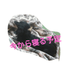 真っ黒ゆずちゃん（個別スタンプ：21）