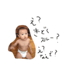 ナツ、2歳（個別スタンプ：24）