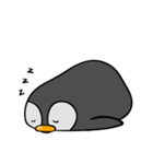 kokopenguin（個別スタンプ：2）