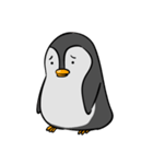 kokopenguin（個別スタンプ：9）