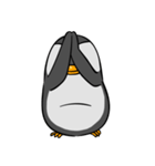 kokopenguin（個別スタンプ：24）