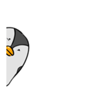 kokopenguin（個別スタンプ：29）