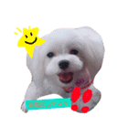 チャコ・あずき・ムーの笑顔（個別スタンプ：3）