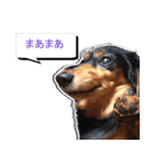 ダックスフンド 我が家の愛犬001（個別スタンプ：5）