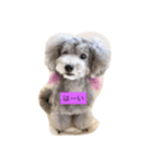 びびりーず会長  Belle（個別スタンプ：2）