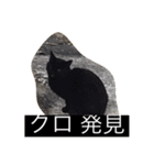 ねこ8（個別スタンプ：3）