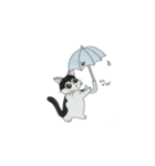 ぴれっちょ。（個別スタンプ：4）