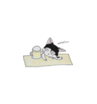 ぴれっちょ。（個別スタンプ：5）