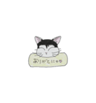 ぴれっちょ。（個別スタンプ：7）