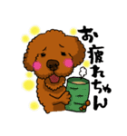 愛犬プードルの日常！（個別スタンプ：1）