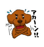 愛犬プードルの日常！（個別スタンプ：4）