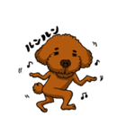 愛犬プードルの日常！（個別スタンプ：5）