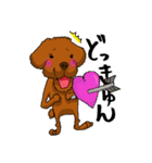 愛犬プードルの日常！（個別スタンプ：7）