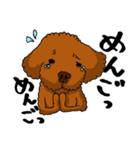 愛犬プードルの日常！（個別スタンプ：9）