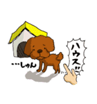 愛犬プードルの日常！（個別スタンプ：21）
