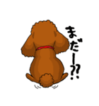 愛犬プードルの日常！（個別スタンプ：22）