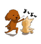 愛犬プードルの日常！（個別スタンプ：26）