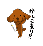 愛犬プードルの日常！（個別スタンプ：27）