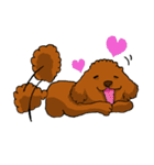 愛犬プードルの日常！（個別スタンプ：28）