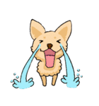 愛犬プードルの日常！（個別スタンプ：32）