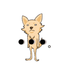 愛犬プードルの日常！（個別スタンプ：34）